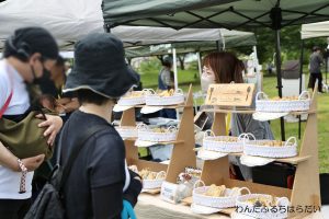わんだふるちはらだい10